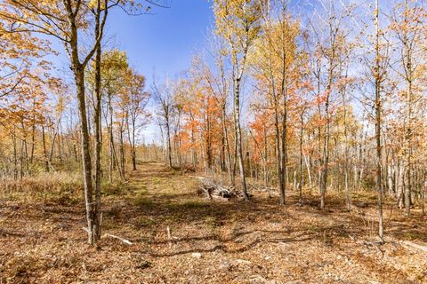 Tiny photo for xxx Amity Drive, Duluth, MN 55803 (MLS # 6123650)