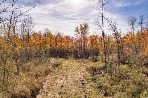 Tiny photo for xxx Amity Drive, Duluth, MN 55803 (MLS # 6123650)