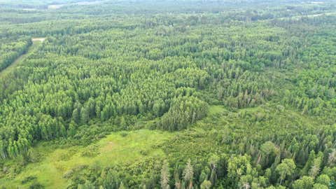 Tiny photo for 8468 N Ahlstrand Rd, Tower, MN 55790 (MLS # 6127112)