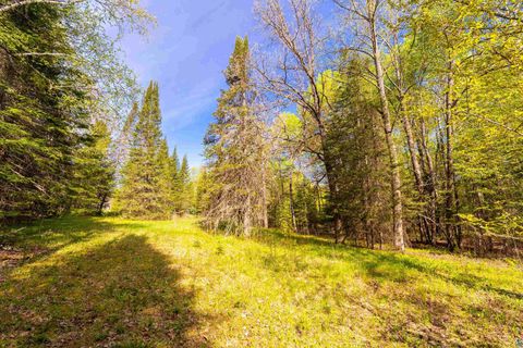 Tiny photo for 5610 Bergstrom Jct Rd, Saginaw, MN 55779 (MLS # 6125651)