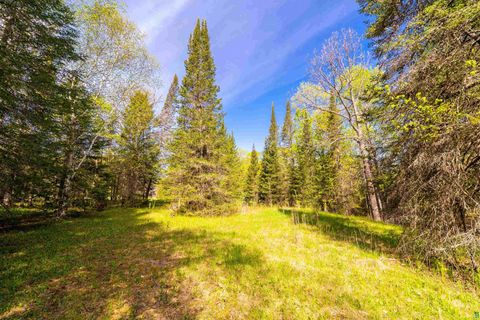 Tiny photo for 5610 Bergstrom Jct Rd, Saginaw, MN 55779 (MLS # 6125651)