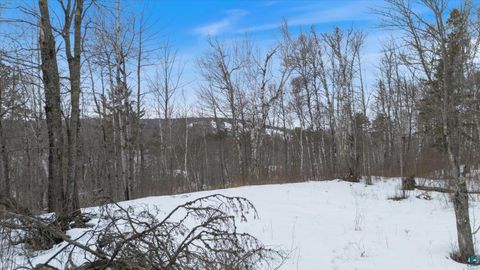 Tiny photo for TBD Voyageurs Tr, Biwabik, MN 55705 (MLS # 6123922)