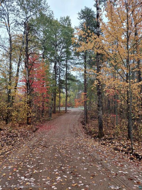 Tiny photo for TBD Voyageurs Tr, Biwabik, MN 55705 (MLS # 6123922)