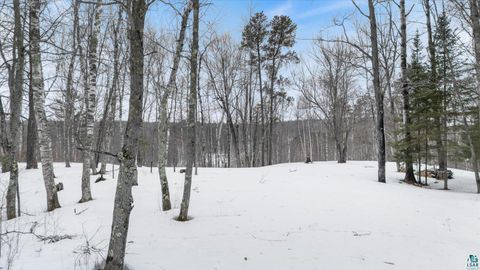 Tiny photo for TBD Voyageurs Tr, Biwabik, MN 55705 (MLS # 6123922)