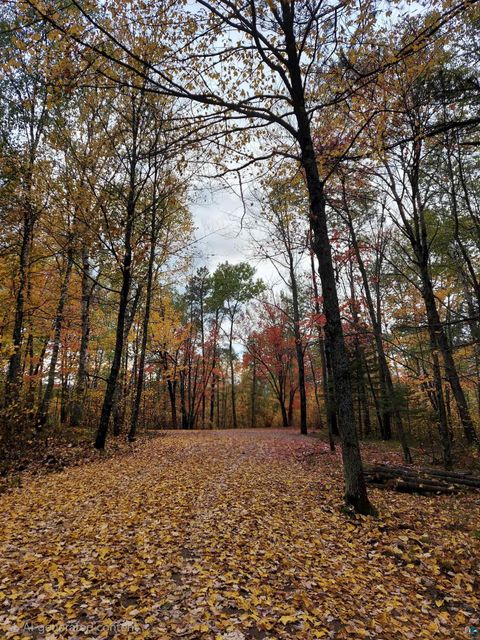 Tiny photo for TBD Voyageurs Tr, Biwabik, MN 55705 (MLS # 6123922)