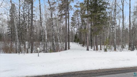 Tiny photo for TBD Voyageurs Tr, Biwabik, MN 55705 (MLS # 6123922)