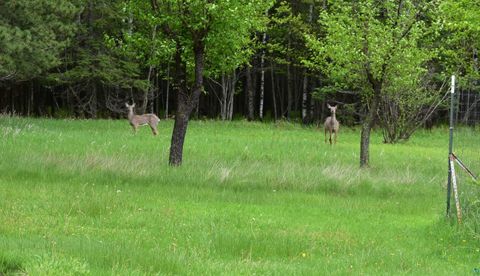 Tiny photo for 9137 McCamus Rd, Brookston, MN 55711 (MLS # 6125266)