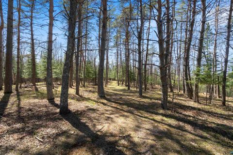 Tiny photo for 9137 McCamus Rd, Brookston, MN 55711 (MLS # 6125266)