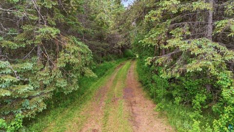Tiny photo for 4913 Hwy 25, Mountain Iron, MN 55768 (MLS # 6126081)