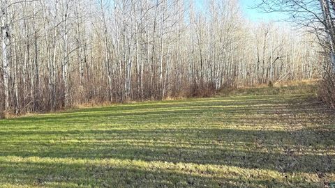 Tiny photo for 11680 County Rd 59, Gheen, MN 55771 (MLS # 6124270)