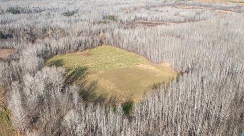 Photo of 11680 County Rd 59, Gheen, MN 55771 (MLS # 6124270)