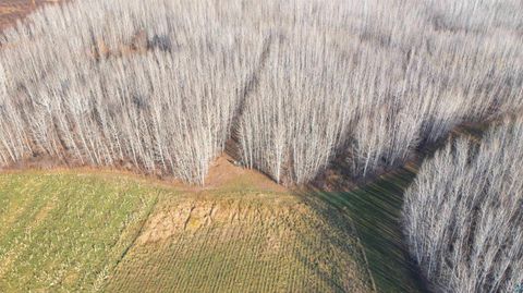 Tiny photo for 11680 County Rd 59, Gheen, MN 55771 (MLS # 6124270)