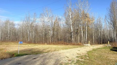 Tiny photo for 11680 County Rd 59, Gheen, MN 55771 (MLS # 6124270)