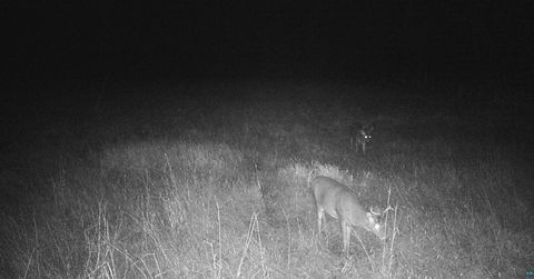 Tiny photo for 11680 County Rd 59, Gheen, MN 55771 (MLS # 6124270)