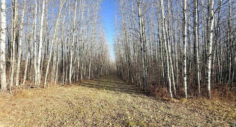 Tiny photo for 11680 County Rd 59, Gheen, MN 55771 (MLS # 6124270)