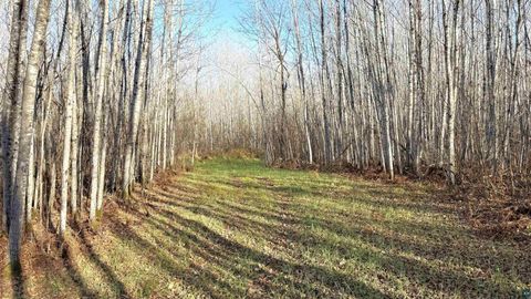 Tiny photo for 11680 County Rd 59, Gheen, MN 55771 (MLS # 6124270)