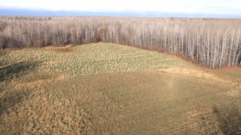 Tiny photo for 11680 County Rd 59, Gheen, MN 55771 (MLS # 6124270)