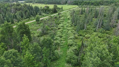 Tiny photo for 3 Quaal Rd, Forbes, MN 55738 (MLS # 6126743)