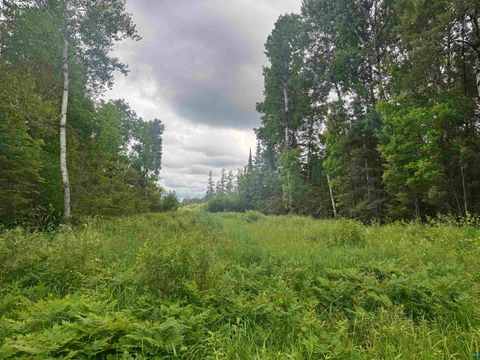 Tiny photo for 3 Quaal Rd, Forbes, MN 55738 (MLS # 6126743)