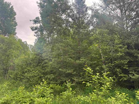Tiny photo for 3 Quaal Rd, Forbes, MN 55738 (MLS # 6126743)