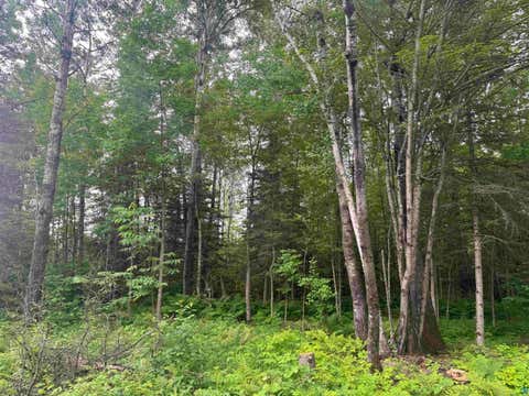 Tiny photo for 3 Quaal Rd, Forbes, MN 55738 (MLS # 6126743)