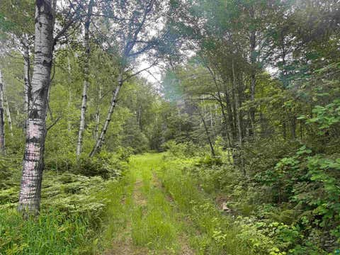 Tiny photo for 3 Quaal Rd, Forbes, MN 55738 (MLS # 6126743)