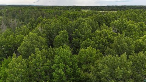 Tiny photo for 3 Quaal Rd, Forbes, MN 55738 (MLS # 6126743)