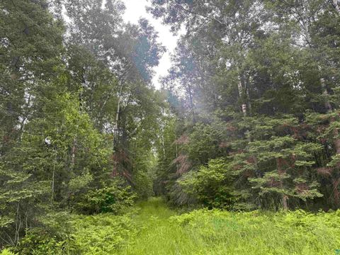 Tiny photo for 3 Quaal Rd, Forbes, MN 55738 (MLS # 6126743)