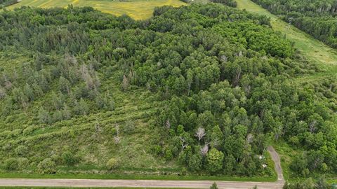 Tiny photo for 3 Quaal Rd, Forbes, MN 55738 (MLS # 6126743)