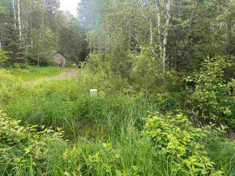 Tiny photo for 3 Quaal Rd, Forbes, MN 55738 (MLS # 6126743)