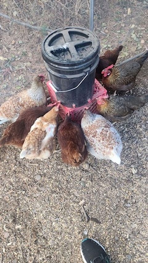 Tiny photo for 925 14th St, Cloquet, MN 55720 (MLS # 6123661)