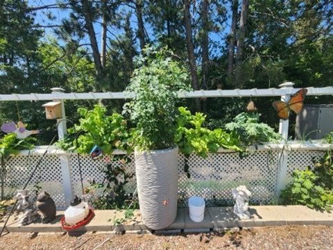 Tiny photo for 925 14th St, Cloquet, MN 55720 (MLS # 6123661)