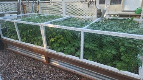 Tiny photo for 925 14th St, Cloquet, MN 55720 (MLS # 6123661)