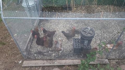 Tiny photo for 925 14th St, Cloquet, MN 55720 (MLS # 6123661)