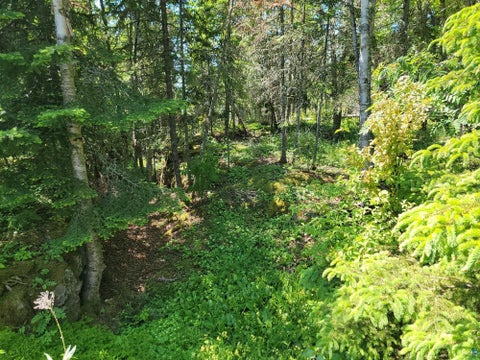 Tiny photo for 3644 Hwy 61 E, Grand Marais, MN 55604 (MLS # 6126886)