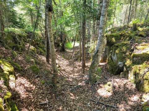 Tiny photo for 3644 Hwy 61 E, Grand Marais, MN 55604 (MLS # 6126886)