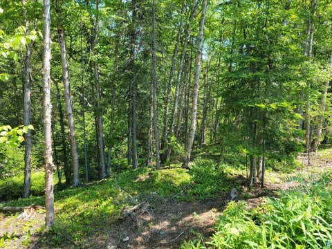 Tiny photo for 3644 Hwy 61 E, Grand Marais, MN 55604 (MLS # 6126886)