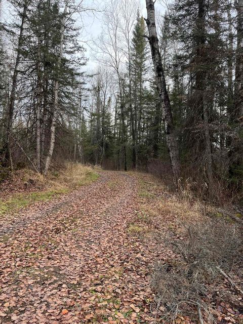 Tiny photo for 4002 Shiloh Tr, Ely, MN 55771 (MLS # 6122610)