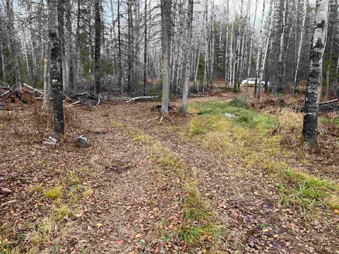 Tiny photo for 4002 Shiloh Tr, Ely, MN 55771 (MLS # 6122610)