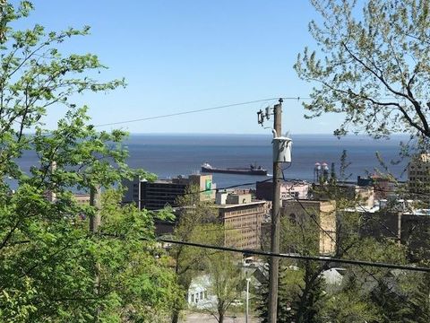 Tiny photo for 417 W 5th St, Duluth, MN 55806 (MLS # 6123475)