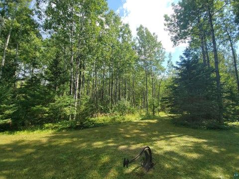 Tiny photo for 181 Linnell Rd, Grand Marais, MN 55604 (MLS # 6127598)