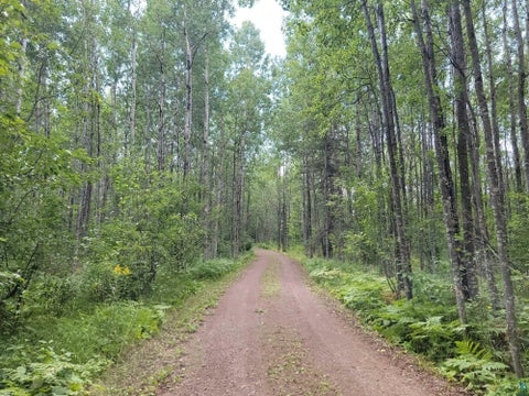 Tiny photo for 181 Linnell Rd, Grand Marais, MN 55604 (MLS # 6127598)
