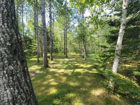 Tiny photo for 181 Linnell Rd, Grand Marais, MN 55604 (MLS # 6127598)