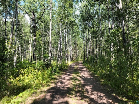 Tiny photo for 181 Linnell Rd, Grand Marais, MN 55604 (MLS # 6127598)