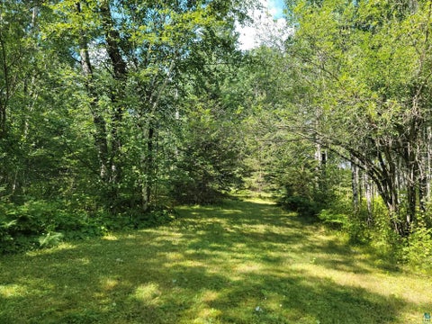 Tiny photo for 181 Linnell Rd, Grand Marais, MN 55604 (MLS # 6127598)