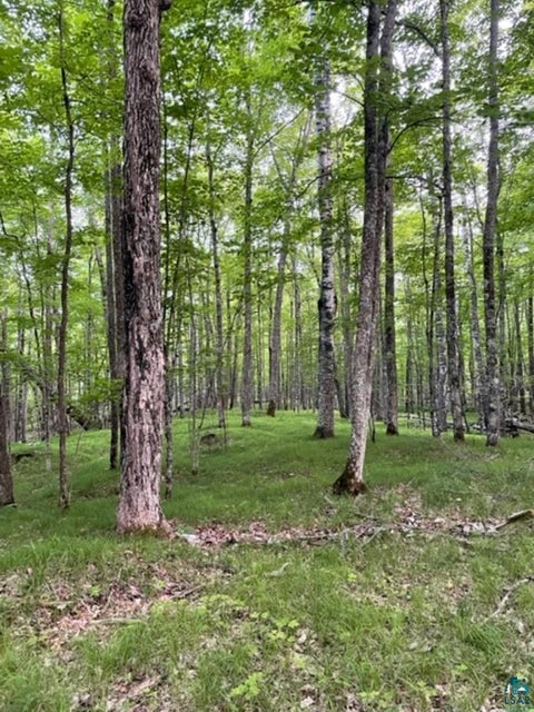 Tiny photo for XXXX Sunny Ln, Duluth, MN 55811 (MLS # 6128265)