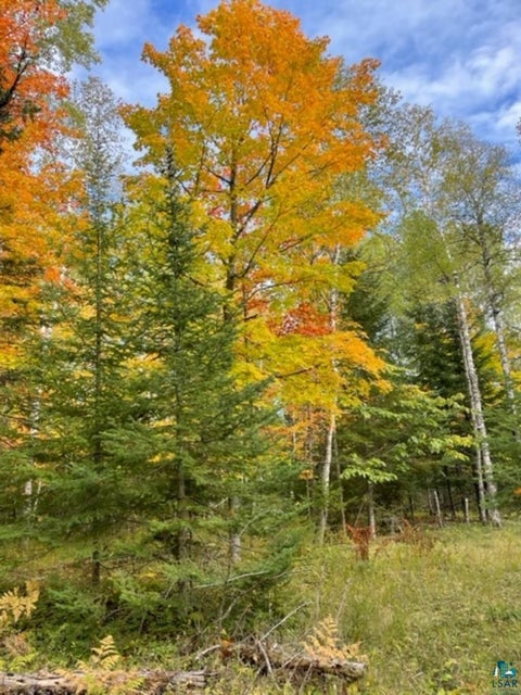 Tiny photo for XXXX Sunny Ln, Duluth, MN 55811 (MLS # 6128265)