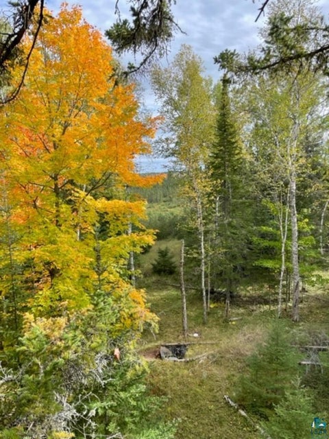 Tiny photo for XXXX Sunny Ln, Duluth, MN 55811 (MLS # 6128265)