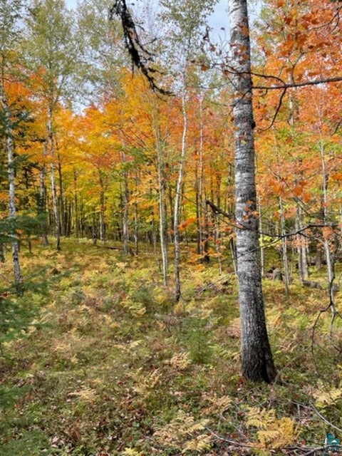 Tiny photo for XXXX Sunny Ln, Duluth, MN 55811 (MLS # 6128265)