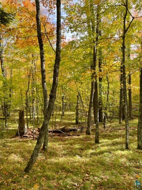 Tiny photo for XXXX Sunny Ln, Duluth, MN 55811 (MLS # 6128265)